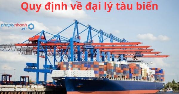 Quy định về đại lý tàu biển 1 Quy định về đại lý tàu biển
