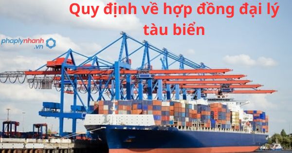 Quy định về hợp đồng đại lý tàu biển 1 Quy định về hợp đồng đại lý tàu biển