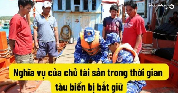 Quy định về nghĩa vụ của chủ tài sản trong thời gian tàu biển bị bắt giữ 1 Quy định về nghĩa vụ của chủ tài sản trong thời gian tàu biển bị bắt giữ