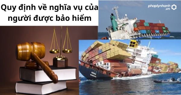 Quy định về nghĩa vụ của người được bảo hiểm