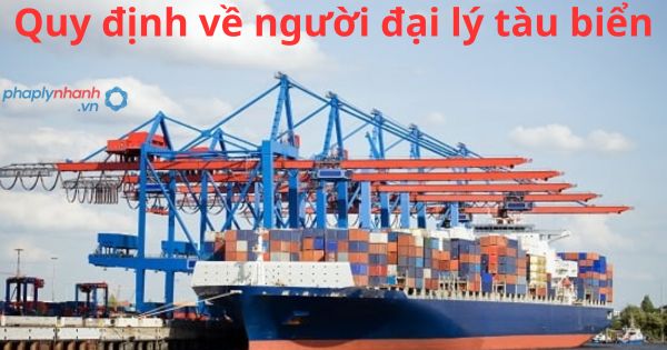 Quy định về người đại lý tàu biển 1 Quy định về người đại lý tàu biển
