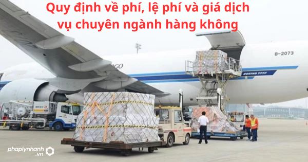 Quy định về phí, lệ phí và giá dịch vụ chuyên ngành hàng không 5 Quy định về phí, lệ phí và giá dịch vụ chuyên ngành hàng không