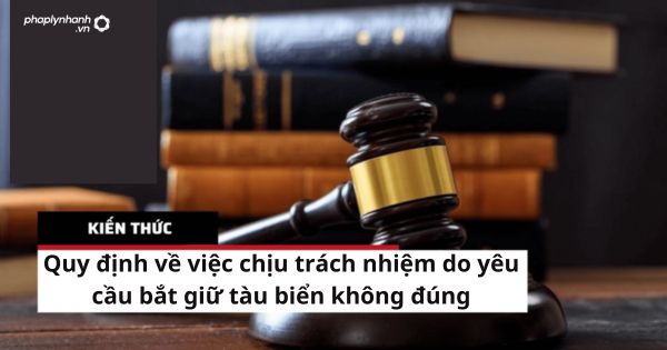Quy định về việc chịu trách nhiệm do yêu cầu bắt giữ tàu biển không đúng