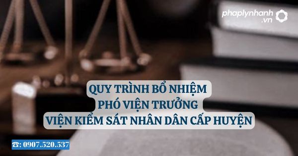 Quy trình bổ nhiệm Phó Viện trưởng Viện kiểm sát nhân dân cấp huyện 2 Quy trình bổ nhiệm Phó Viện trưởng Viện kiểm sát nhân dân cấp huyện - Tư vấn, hỗ trợ pháp lý nhanh