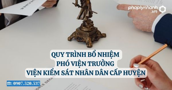 Quy trình bổ nhiệm Phó Viện trưởng Viện kiểm sát nhân dân cấp huyện 1 Quy trình bổ nhiệm Phó Viện trưởng Viện kiểm sát nhân dân cấp huyện