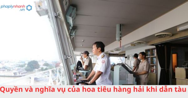 Quyền và nghĩa vụ của hoa tiêu hàng hải khi dẫn tàu