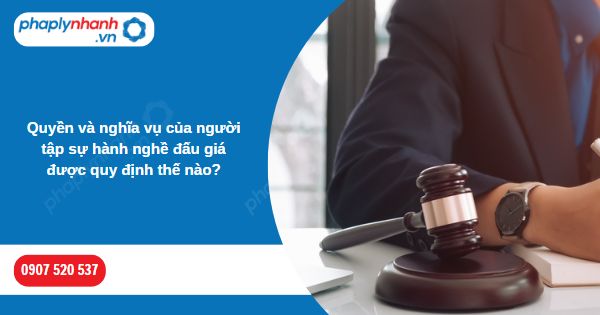 Quyền và nghĩa vụ của người tập sự hành nghề đấu giá được quy định thế nào? 1 Quyền và nghĩa vụ của người tập sự hành nghề đấu giá được quy định thế nào-Hỗ trợ, tư vấn pháp lý nhanh