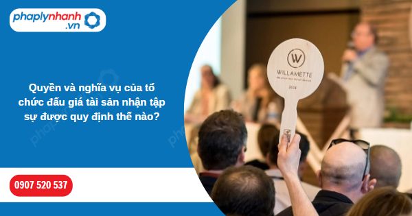 Quyền và nghĩa vụ của tổ chức đấu giá tài sản nhận tập sự được quy định thế nào-Hỗ trợ, tư vấn pháp lý nhanh