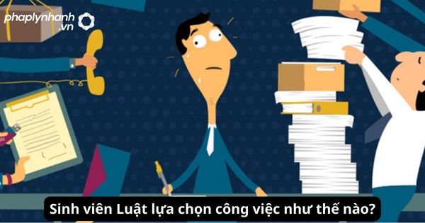 Sinh viên Luật mới ra trường nên làm gì? 1 Sinh viên Luật lựa chọn công việc như thế nào