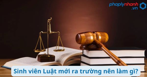 Sinh viên Luật mới ra trường nên làm gì? 2 Sinh viên Luật mới ra trường nên làm gì