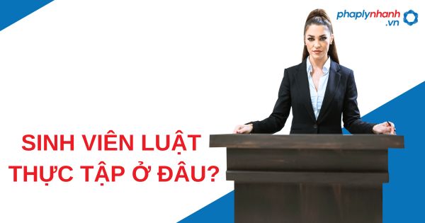 Sinh viên luật đi thực tập và những kinh nghiệm bạn chưa biết 2 Sinh viên Luật thực tập ở đâu - PHAPLYNHANH.VN