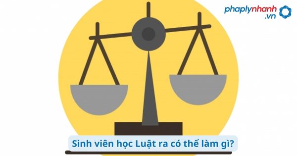 Sinh viên học Luật ra có thể làm gì? 24 Sinh viên học Luật ra có thể làm gì?
