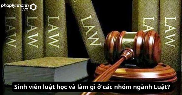 Sinh viên luật học và làm gì ở các nhóm ngành Luật? 1 Sinh viên luật học và làm gì ở các nhóm ngành Luật