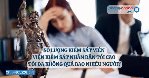 Số lượng Kiểm sát viên Viện kiểm sát nhân dân tối cao tối đa không quá bao nhiêu người? 13 Số lượng Kiểm sát viên Viện kiểm sát nhân dân tối cao tối đa không quá bao nhiêu người?