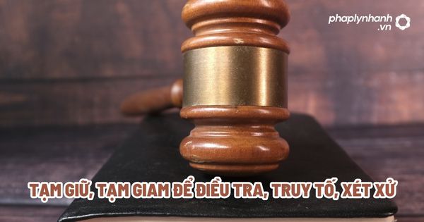 Tạm giữ, tạm giam để điều tra, truy tố, xét xử? 1 Tạm giữ, tạm giam để điều tra, truy tố, xét xử - Tư vấn, hỗ trợ pháp lý nhanh