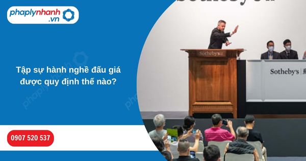 Tập sự hành nghề đấu giá được quy định thế nào-Hỗ trợ, tư vấn pháp lý nhanh