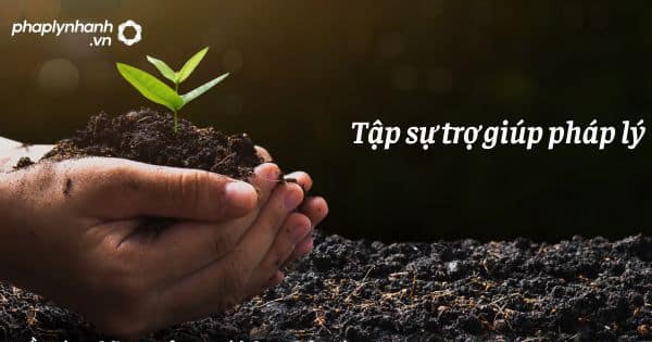 Quy định về tập sự trợ giúp pháp lý? 15 Tập sự trợ giúp pháp lý - hỗ trợ, tư vấn pháp lý nhanh