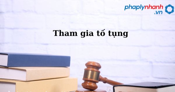 Tham gia tố tụng trong trợ giúp pháp lý? 8 Tham gia tố tụng - hỗ trợ, tư vấn pháp lý nhanh