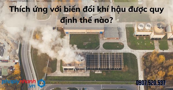Thích ứng với biến đổi khí hậu được quy định thế nào? 1 Thích ứng với biến đổi khí hậu được quy định thế nào - tư vấn hỗ trợ pháp lý nhanh