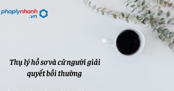 Thụ lý hồ sơ và cử người giải quyết bồi thường - hỗ trợ, tư vấn pháp lý nhanh