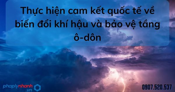 Thực hiện cam kết quốc tế về biến đổi khí hậu và bảo vệ tầng ô-dôn - tư vấn hỗ trợ pháp lý nhanh