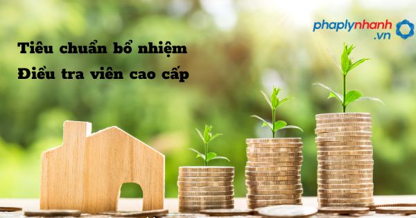 Tiêu chuẩn bổ nhiệm Điều tra viên cao cấp như thế nào? 1 Tiêu chuẩn bổ nhiệm Điều tra viên cao cấp - hỗ trợ, tư vấn pháp lý nhanh