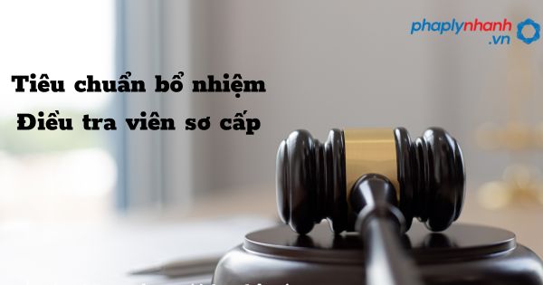 Tiêu chuẩn bổ nhiệm Điều tra viên sơ cấp trong tổ chức cơ quan điều tra hình sự? 1 Tiêu chuẩn bổ nhiệm Điều tra viên sơ cấp - hỗ trợ, tư vấn pháp lý nhanh