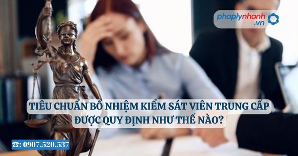Tiêu chuẩn bổ nhiệm Kiểm sát viên Viện Kiểm sát nhân dân tối cao là gì? 22 Tiêu chuẩn bổ nhiệm Kiểm sát viên Viện Kiểm sát nhân dân tối cao là gì?