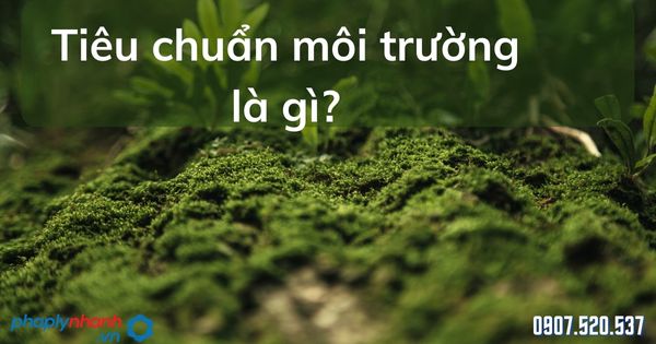 Tiêu chuẩn môi trường là gì? 1 Tiêu chuẩn môi trường là gì - tư vấn hỗ trợ pháp lý nhanh