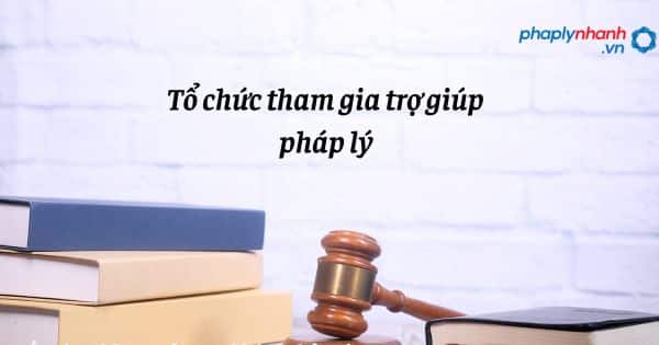 Tổ chức tham gia trợ giúp pháp lý như thế nào? 9 Tổ chức tham gia trợ giúp pháp lý - hỗ trợ, tư vấn pháp lý nhanh