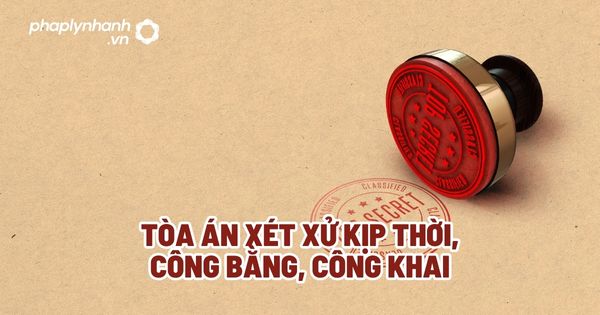 Tòa án xét xử kịp thời, công bằng, công khai? 1 Tòa án xét xử kịp thời, công bằng, công khai - Tư vấn, hỗ trợ pháp lý nhanh