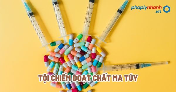 Tội chiếm đoạt chất ma túy? 1 Tội chiếm đoạt chất ma túy - Tư vấn, hỗ trợ pháp lý nhanh