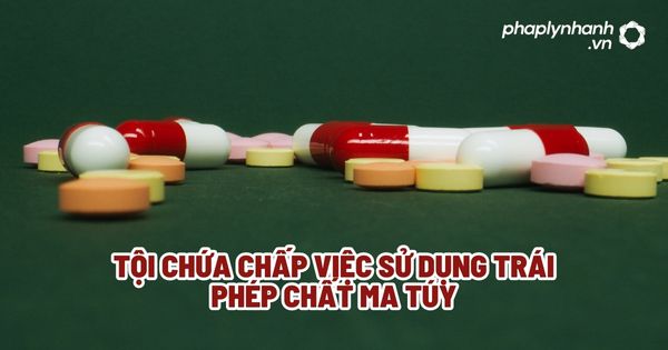 Tội chứa chấp việc sử dụng trái phép chất ma túy? 1 Tội chứa chấp việc sử dụng trái phép chất ma túy - Tư vấn, hỗ trợ pháp lý nhanh