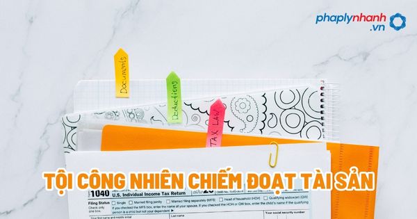 Tội công nhiên chiếm đoạt tài sản - Tư vấn, hỗ trợ pháp lý nhanh