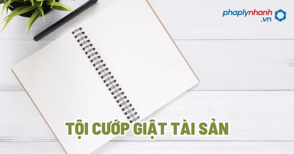 Tội cướp giật tài sản - Tư vấn, hỗ trợ pháp lý nhanh