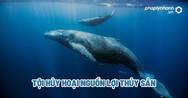 Tội hủy hoại nguồn lợi thủy sản? 1 Tội hủy hoại nguồn lợi thủy sản - Tư vấn, hỗ trợ pháp lý nhanh