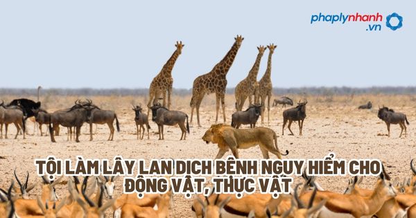Tội làm lây lan dịch bệnh nguy hiểm cho động vật, thực vật? 1 Tội làm lây lan dịch bệnh nguy hiểm cho động vật, thực vật - Tư vấn, hỗ trợ pháp lý nhanh