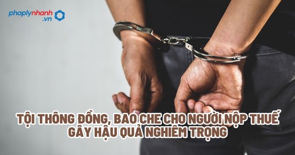 Tội thông đồng, bao che cho người nộp thuế gây hậu quả nghiêm trọng - Tư vấn, hỗ trợ pháp lý nhanh