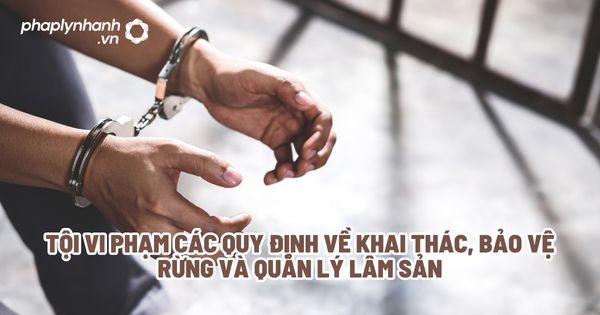 Tội vi phạm các quy định về khai thác, bảo vệ rừng và quản lý lâm sản? 1 Tội vi phạm các quy định về khai thác, bảo vệ rừng và quản lý lâm sản - Tư vấn, hỗ trợ pháp lý nhanh