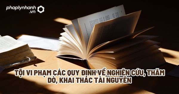 Tội vi phạm các quy định về nghiên cứu, thăm dò, khai thác tài nguyên trong BLHS 2015? 1 Tội vi phạm các quy định về nghiên cứu, thăm dò, khai thác tài nguyên - Tư vấn, hỗ trợ pháp lý nhanh