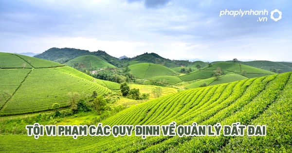 Tội vi phạm các quy định về quản lý đất đai? 1 Tội vi phạm các quy định về quản lý đất đai - Tư vấn, hỗ trợ pháp lý nhanh