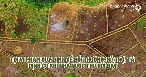 Tội vi phạm quy định về bồi thường, hỗ trợ, tái định cư khi Nhà nước thu hồi đất? 1 Tội vi phạm quy định về bồi thường, hỗ trợ, tái định cư khi Nhà nước thu hồi đất - Tư vấn, hỗ trợ pháp lý nhanh