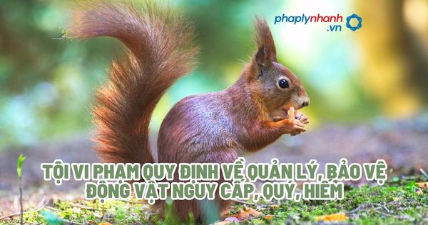 Tội vi phạm quy định về quản lý, bảo vệ động vật nguy cấp, quý, hiếm? 1 Tội vi phạm quy định về quản lý, bảo vệ động vật nguy cấp, quý, hiếm - Tư vấn, hỗ trợ pháp lý nhanh