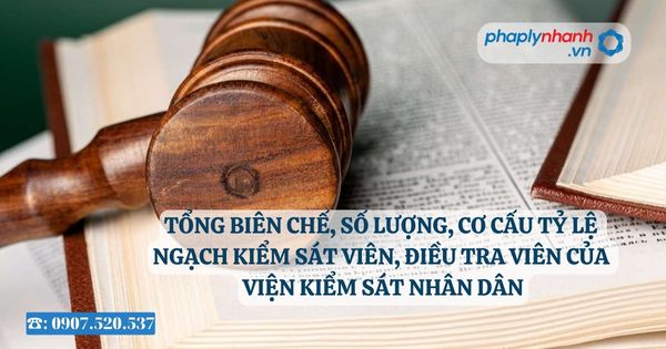 Tổng biên chế, số lượng, cơ cấu tỷ lệ ngạch Kiểm sát viên, Điều tra viên của Viện kiểm sát nhân dân 6 Tổng biên chế, số lượng, cơ cấu tỷ lệ ngạch Kiểm sát viên, Điều tra viên của Viện kiểm sát nhân dân - Tư vấn, hỗ trợ pháp lý nhanh
