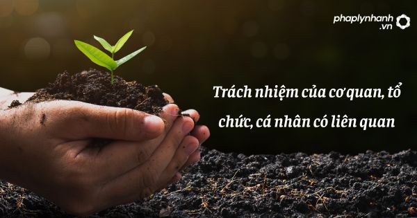 Trách nhiệm của cơ quan, tổ chức, cá nhân có liên quan - hỗ trợ, tư vấn pháp lý nhanh