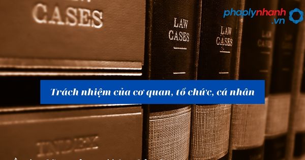 Trách nhiệm của cơ quan, tổ chức, cá nhân như thế nào? 11 Trách nhiệm của cơ quan, tổ chức, cá nhân - hỗ trợ, tư vấn pháp lý nhanh