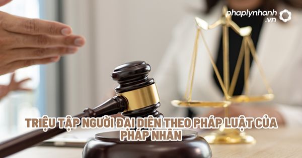 Triệu tập người đại diện theo pháp luật của pháp nhân? 1 Triệu tập người đại diện theo pháp luật của pháp nhân - Tư vấn, hỗ trợ pháp lý nhanh