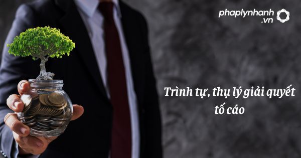 Trình tự, thụ lý giải quyết tố cáo như thế nào? 13 Trình tự, thụ lý giải quyết tố cáo - hỗ trợ, tư vấn pháp lý nhanh