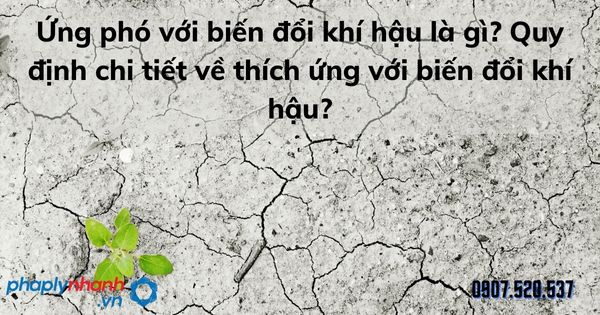 Ứng phó với biến đổi khí hậu là gì? Quy định chi tiết về thích ứng với biến đổi khí hậu? 1 Ứng phó với biến đổi khí hậu là gì Quy định chi tiết về thích ứng với biến đổi khí hậu - tư vấn hỗ trợ pháp lý nhanh