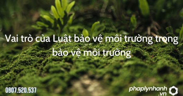 Vai trò của Luật bảo vệ môi trường trong bảo vệ môi trường 1 Vai trò của Luật bảo vệ môi trường trong bảo vệ môi trường - tư vấn hỗ trợ pháp lý nhanh